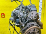 Двигатель Toyota Hiace/Regius Ace 2007 1900030160 KDH205/KDH205V/KDH200/KDH200K/KDH200V/KDH220K/KDH222B/KDH225K/KDH227B 2KDFTV, передний