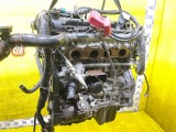 Двигатель Suzuki Escudo/Grand Vitara 2008/Цвет ZJ3 1120078K02X12 TDA4W/TDA4V J24B, передний